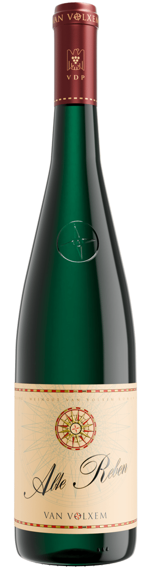 Alte Reben Riesling